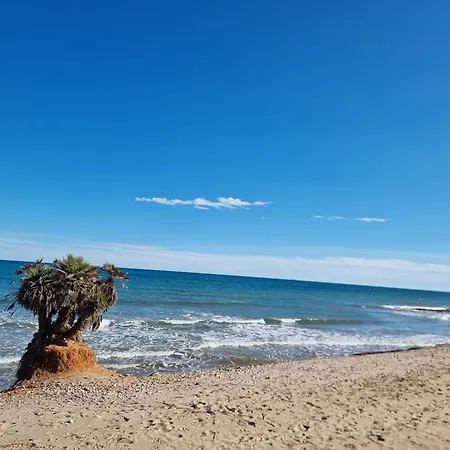 Trebol Familiar Y Comodo Oropesa del Mar